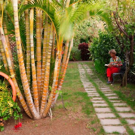 Apartamentos Adjovimar Los Llanos De Aridane Exteriér fotografie