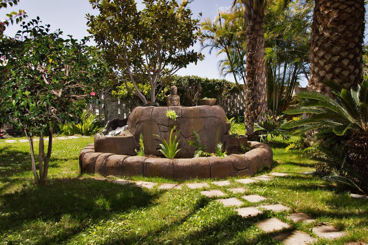 Apartamentos Adjovimar Los Llanos De Aridane Exteriér fotografie