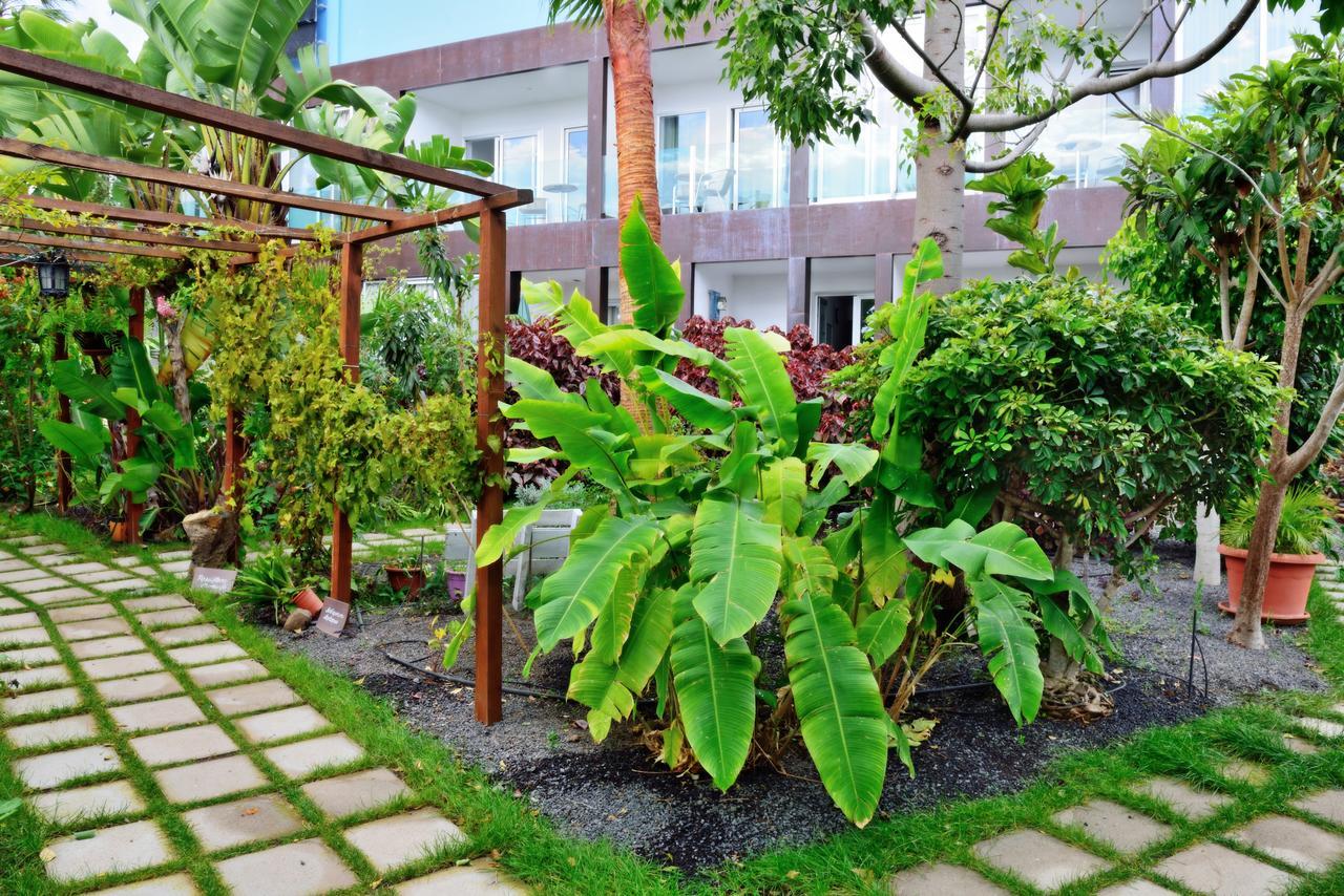 Apartamentos Adjovimar Los Llanos De Aridane Exteriér fotografie