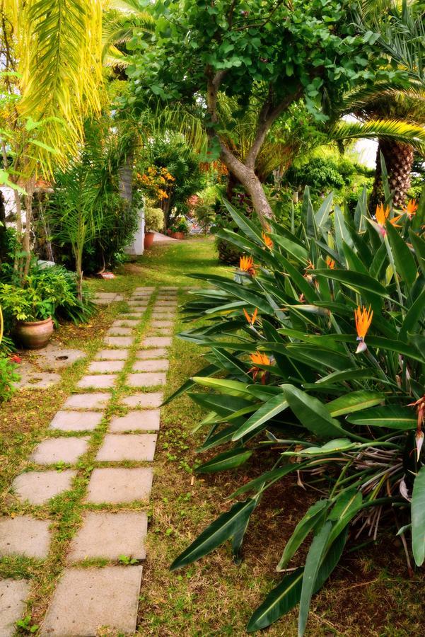 Apartamentos Adjovimar Los Llanos De Aridane Exteriér fotografie