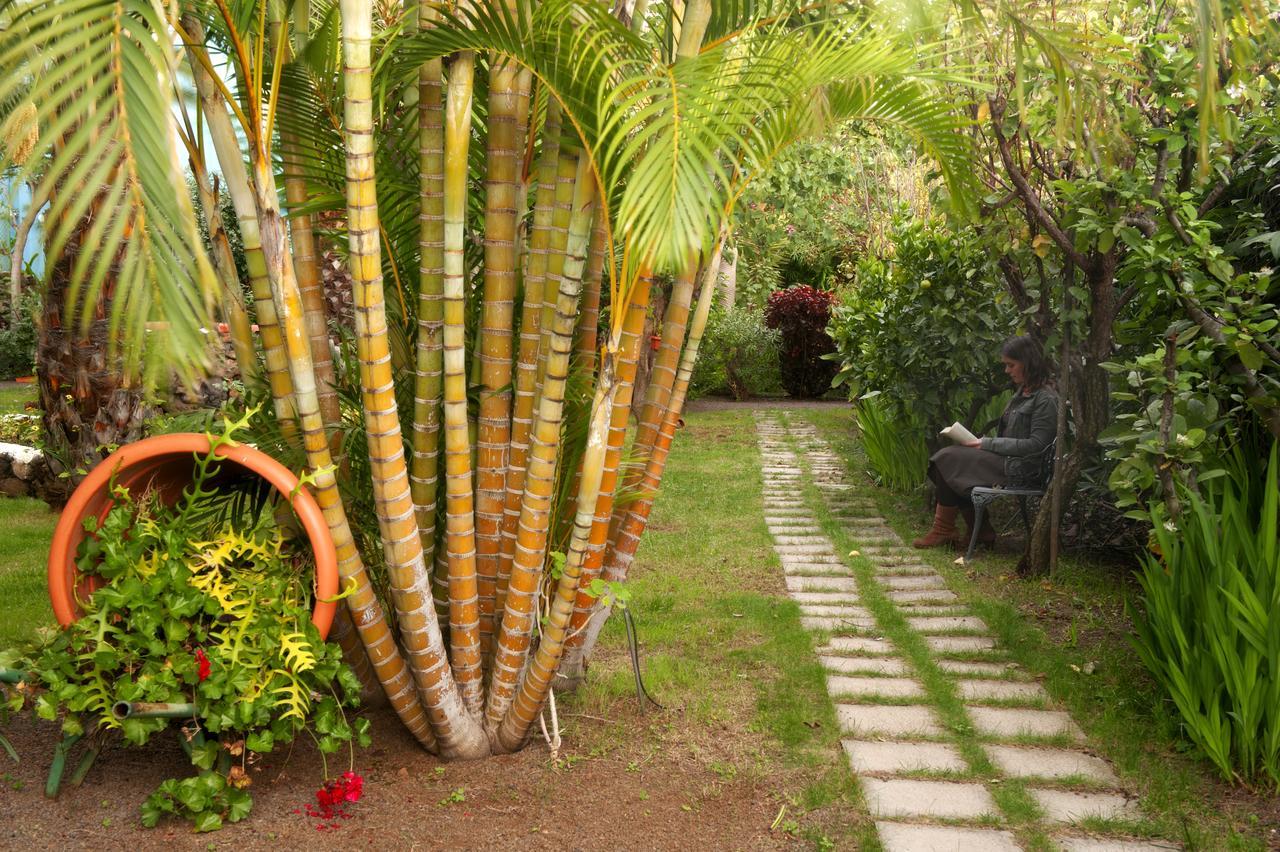 Apartamentos Adjovimar Los Llanos De Aridane Exteriér fotografie