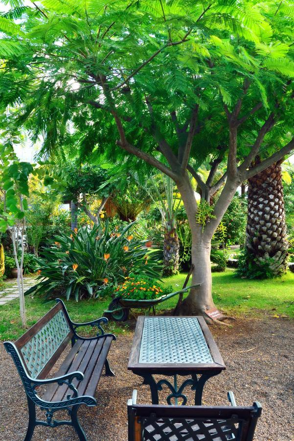 Apartamentos Adjovimar Los Llanos De Aridane Exteriér fotografie